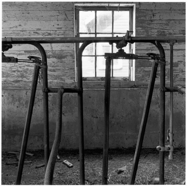 Stanchions in the barn on the Quinney farm.