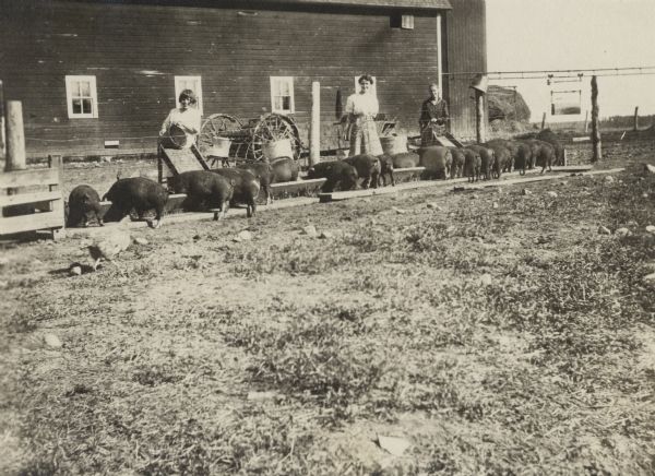 Three young women feed the pigs on a Portage County farm, a livestock project under the direction of an agricultural extension representative.  The caption on the back of the photo states: "Girls as well as boys like to stay on the farm if they have something interesting to do."