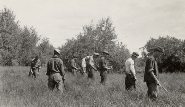 Six-man crew at Camp Mercer looking for ribes (gooseberries), a stage essential for the transmission of blister rust to white pines, working in a marsh area with two checkers walking behind them.