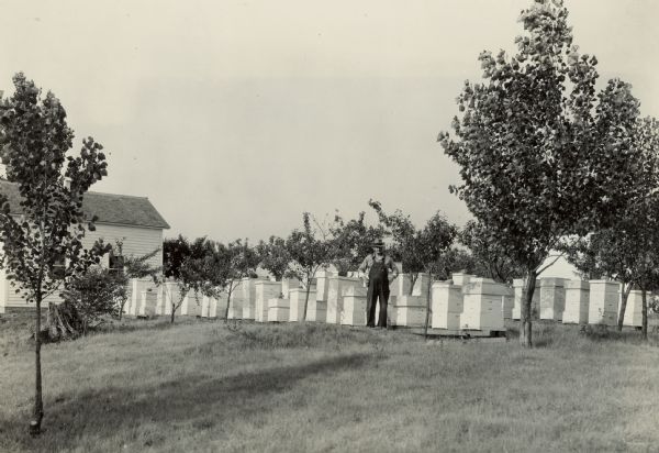 An unidentified Wisconsin farmer surrounded by his beehives.