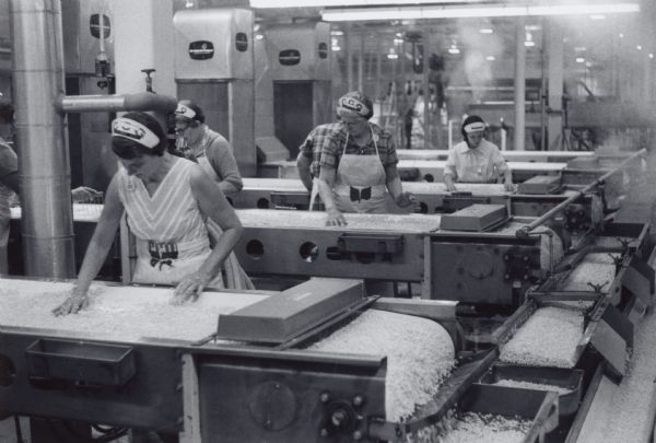 Women workers at a Wisconsin canning factory inspecting corn as it passes by them on conveyor belts.