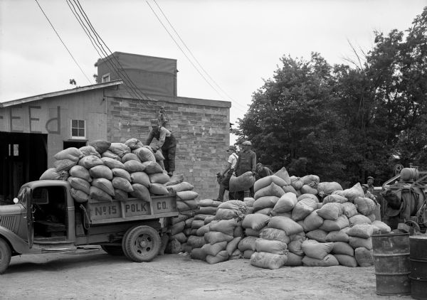Loading a truck with bait at the county mixing station at Balsam Lake during the grasshopper outbreak in northwestern Wisconsin.