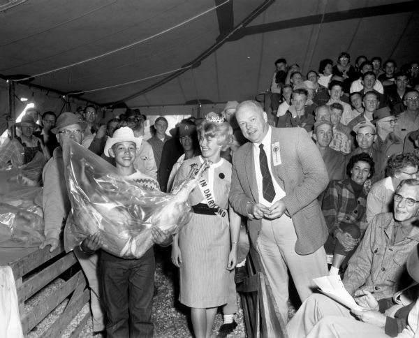 Alice in Dairyland 1962, Sylvia Lee Kafkas, posing with a young winner and his entry at the regional Junior Livestock Exposition in Eau Claire.