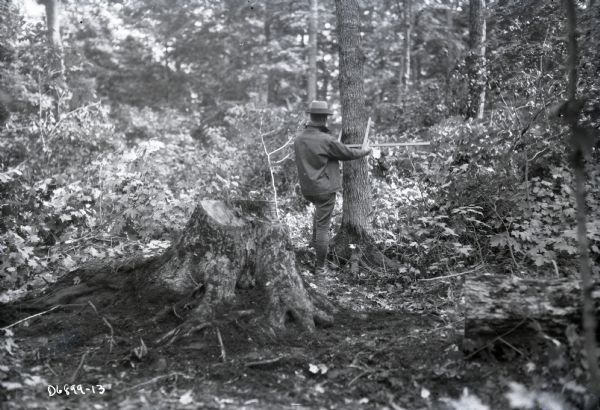 Man measuring a tree for selective logging.