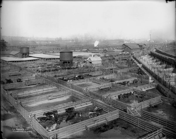 Elevated view of the Chicago, Milwaukee and St. Paul Railroad stockyards, at about 25th Street.
