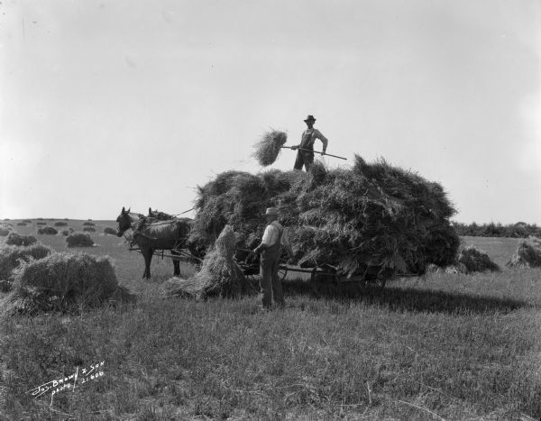 Horse-drawn cart stacked with grain shocks out in a field. One man is standing on top of the already stacked grain, while another man is passing shocks up.