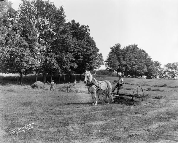 Man operating a horse-drawn hay rake. Two boys and a man in the background are piling the cut hay.