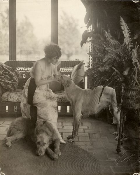 Kitty Gordon and two dogs in a sunroom.

The star of musical comedy, vaudeville, and silent films, Kitty Gordon, and two dogs, wolfhounds or deerhounds.

Original caption:
"KITTY GORDON is a dog lover, and owns a number of prize takers. Whether at home in her Long Island mansion or sojourning in California screen starring for United Picture Theatres Inc., Miss Gordon takes her blue ribbon winners in her retinue."