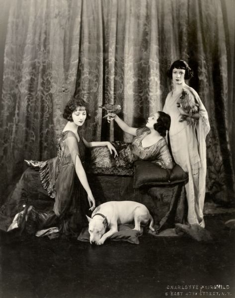 An ambitious studio portrait of the Talmadge sisters, Constance, Norma, and Natalie, posed with a parakeet, American Staffordshire bull terrier, and a Pomeranian. Original caption: Constance, Norma, and Natalie Talmadge--also 'Polly,' 'Peter,' and 'Dinky' Talmadge."