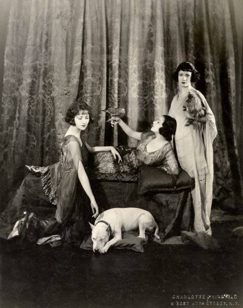 An ambitious studio portrait of the Talmadge sisters, Constance, Norma, and Natalie, posed with a parakeet, American Staffordshire bull terrier, and a Pomeranian.
Original caption: Constance, Norma, and Natalie Talmadge--also 'Polly,' 'Peter,' and 'Dinky' Talmadge."