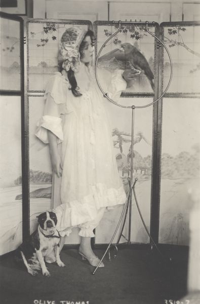 Silent film star Olive Thomas poses before a Japanese screen with a parrot and her Boston bull terrier.