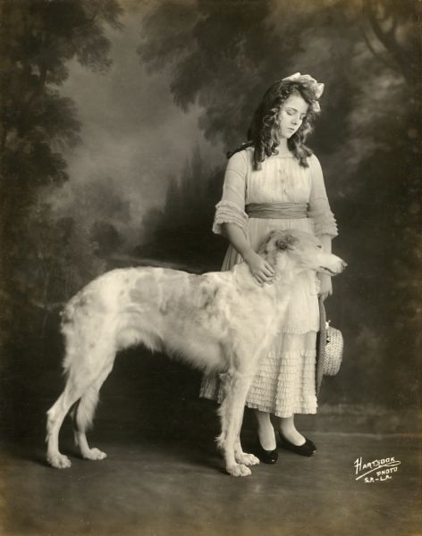 Hartsook studio portrait of silent film star Olive Thomas standing behind a white Russian wolfhound (Borzoi) named Czar.