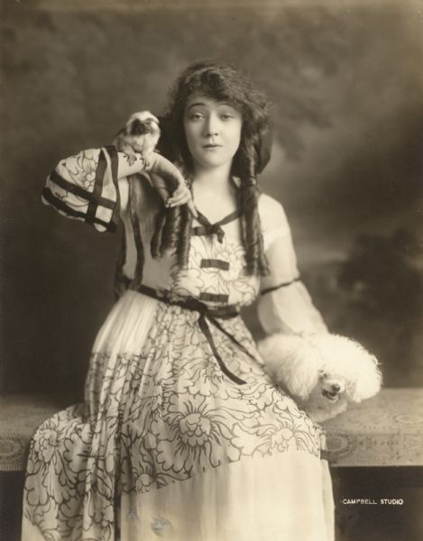 Silent film star Claire Whitney in a seated pose with a marmoset and a white poodle. Original caption: "Miss Claire Whitney's pet marmoset and French poodle, both of which act in the 'movies' with their mistress."