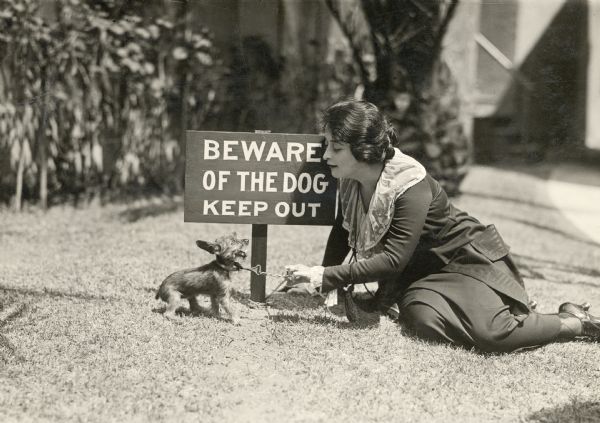 Clara Kimball Young and an Irish terrier puppy on the ground in front of a sign saying "Beware of the dog. Keep Out".

Original caption:
"Clara Kimball Young has a bungalow dressing room on the grounds of the Garson Studios, Inc. in Los Angeles where <i>Eyes of Youth</i> is being filmed. It is well known that Miss Young has an interesting collection of dogs including Chows, Airdales, etc. This picture shows Miss Young with 'Etc.' In other words, an Irish terrier pup. Incidentally this tad was rescued by Miss Young on the San Francisco water front during the filming of some of the scenes of <i>Eyes of Youth,</i> 'Etc.' was about to be served as a table d'hote for a large bull dog when rescued by Miss Young from an early and unsatisfactory grave, and proved so intelligent that he was given a barking part in <i>Eyes of Youth.</i> It is said his voice screams unmercifully."