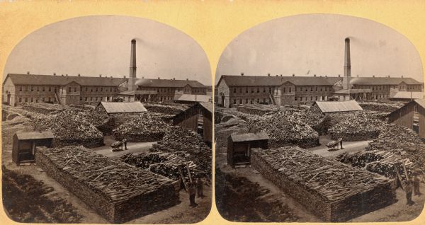 Elevated view of a man with a wheelbarrow standing amid vast stacks of cut wood in the yard of a pulp mill.