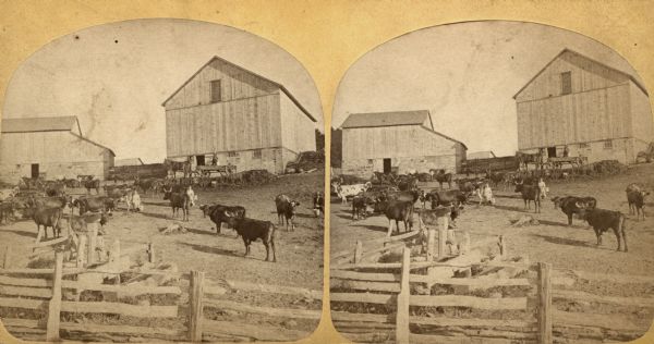 Women, men and cattle inside a fenced-in barnyard with wooden casing pump and wooden trough. A man is standing on a wagon adjacent to the barn in the background.