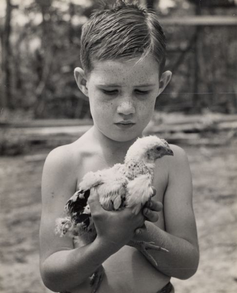 A young boy holding a chicken near a river.