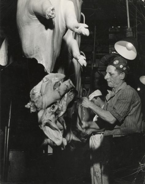 A packinghouse worker at an unidentified slaughterhouse butchering a pig.  A button on his hat reads, "No raise, no work".
