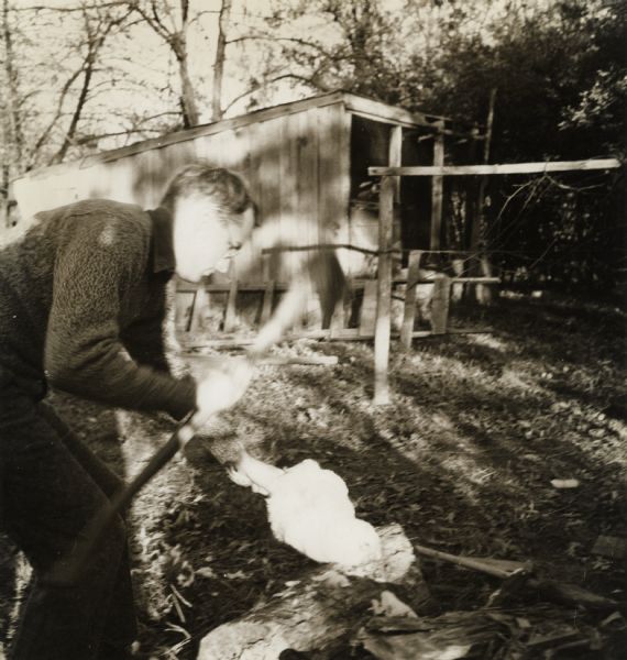 An unidentified man (Myles Horton?) using an axe to cut off a chicken's head.