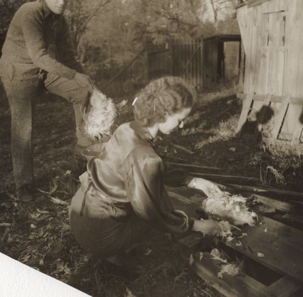 A woman plucking feathers out of a chicken at an unknown location.