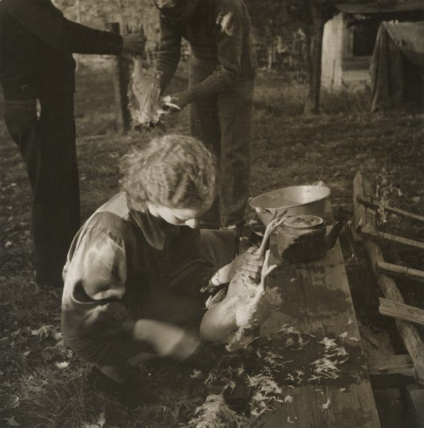 Some unidentified people plucking chicken feathers at an unidentified location.