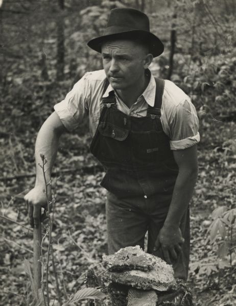 A mean, wearing a fedora and overalls, standing above a pile of honeycombs, presumably to collect honey.