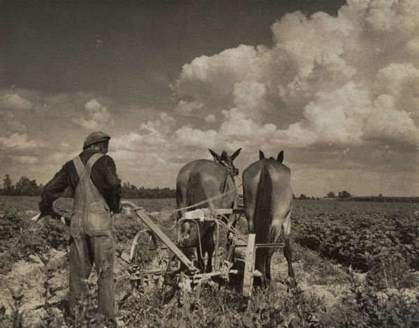 A farmer tending to a field with a pair of mules.