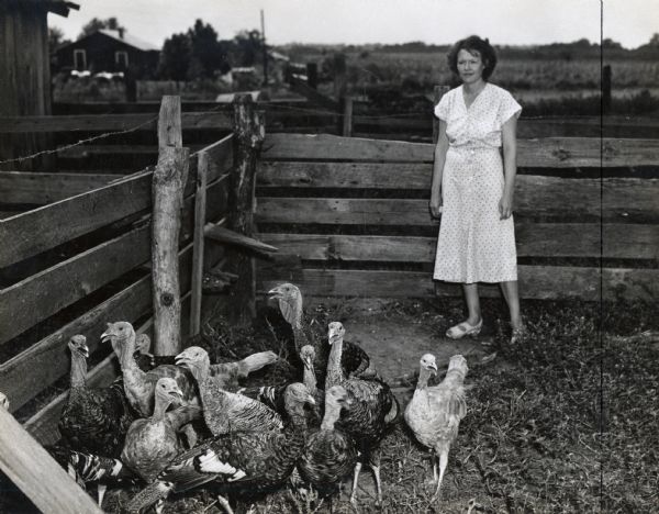 A woman standing in a pen with a group of turkeys.