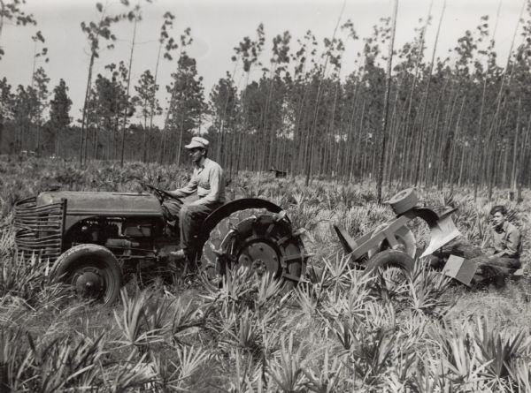 Two men with a tractor pulling a single-bottom plow, with attached weights, traveling through a field, possibly of yucca plants.