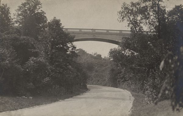 Road curving under bridge, bordered by trees and shrubs.