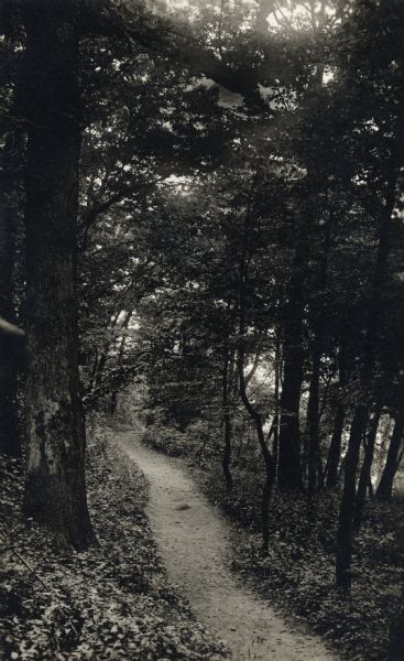 Located on the University of Wisconsin-Madison campus, the lane is a dirt path surrounded by trees.