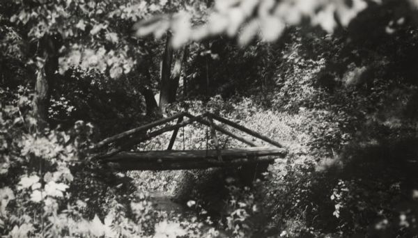 Rustic log footbridge over a creek in the woods.