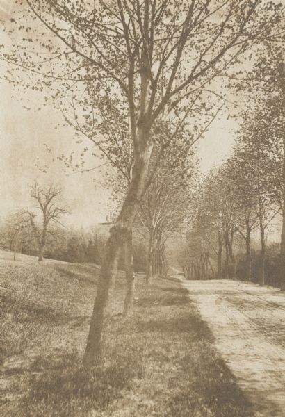 Tree-lined dirt road on the University of Wisconsin-Madison campus. The Extension Building can be seen in the far left distance.