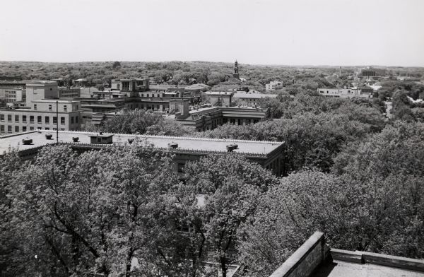 Elevated view looking southwest over tree-tops from Bascom Hall. Sterling Hall is on the left. The spire of the First Congregational Church is visible in the center background.