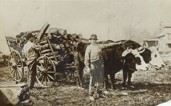A man and a boy are standing next to a pair of yoked oxen pulling a cart. The boy near the animals has a lash in his hand, and the man behind him is loading split wood into the cart.