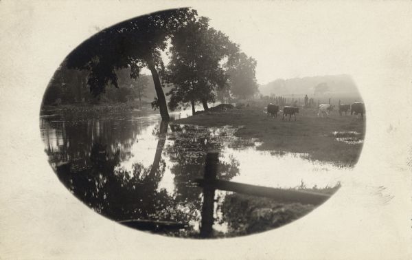 River, with fence in foreground, reflecting trees and sunlight. On the right is a field with cows, a man near a fence, and a small dog.