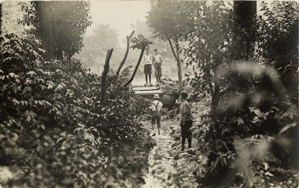 A group of four boys in a wooded area. Two boys are standing on a small bridge, and the other two are walking along a small creek.