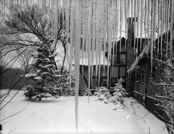 Winter scene with a house viewed through a "curtain" of icicles. A snow-filled yard is in front of the house.
