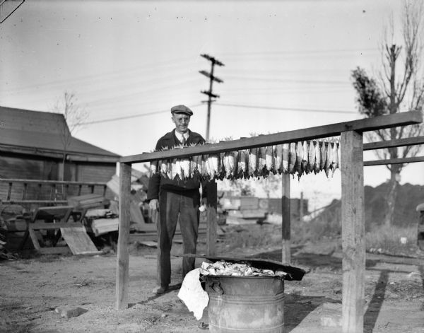 Man inspecting fish hung up to dry in a yard on Jones Island.
