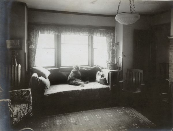 Blig, a Belgian Shepherd dog, sits on the sofa and looks out the window of the living room of the Richard Lloyd Jones home, 1010 Walker Court (now 1010 Rutledge Court).