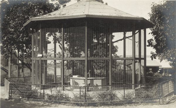 Small monkeys in their wire mesh enclosure at the Henry Vilas Zoo (Vilas Park Zoo), opened in 1911.