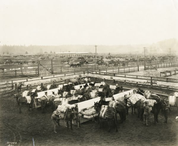 Elevated view of Camp Lewis, showing a pack train fitted out for a march.