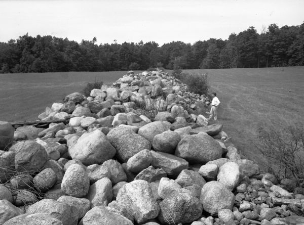 View down large line of rocks in a field with trees in the background. A man is standing next to the line of rocks on the right.
