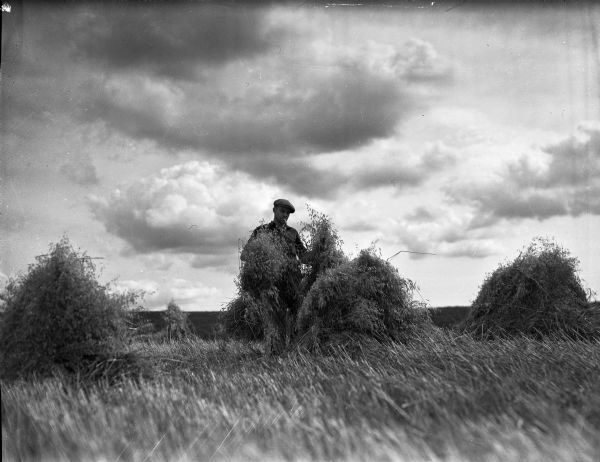 A man is standing in a field and stacks sheaves of grain. He is wearing a hat and is smoking a cigarette.