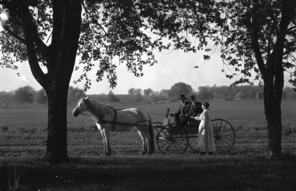 A woman in a dress is talking to two men in hats who are riding in a horse and buggy. They are in a field near a tree.