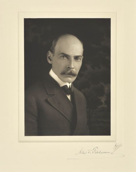 Quarter-length studio portrait of Albert T. Friedman, Milwaukee merchant.