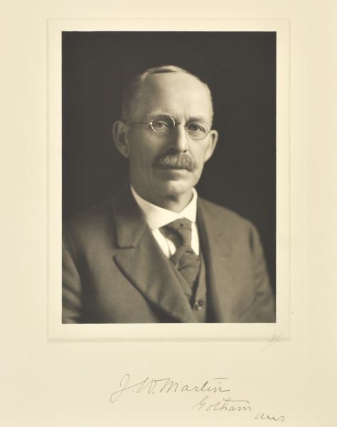 Quarter-length studio portrait of J.W. Martin, Gotham farmer and importer.