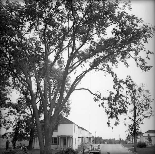A car is parked on the street in front of a row of houses. Children are playing in the front yards. There is a large tree in the foreground. Men are working in a yard on the left.
