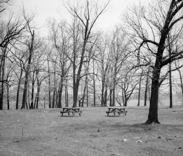 Two picnic tables in a clearing at picnic grove.