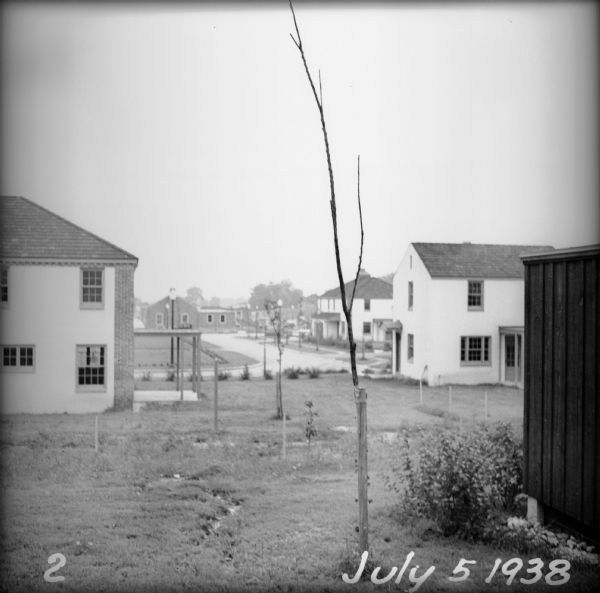 A recently planted sapling in the backyard of an empty house, with other houses and roads visible in the background.